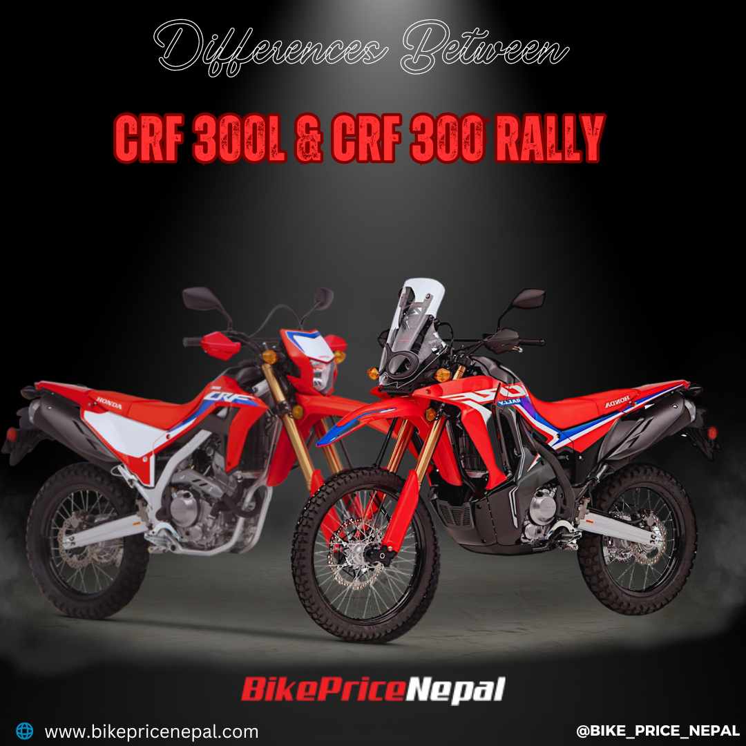 Differences Between CRF 300 L & CRF 300 Rally